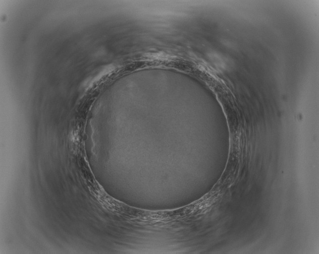 X0000086301254200703301153
