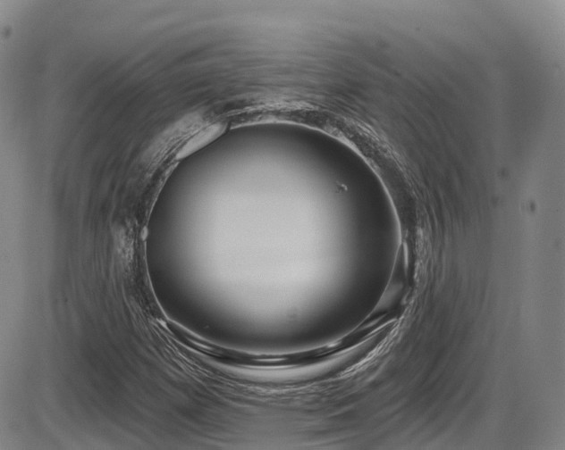 X0000086301257200703301153