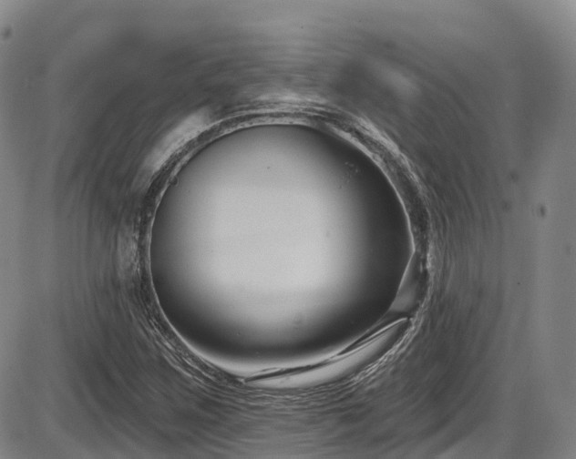 X0000086301259200703301153