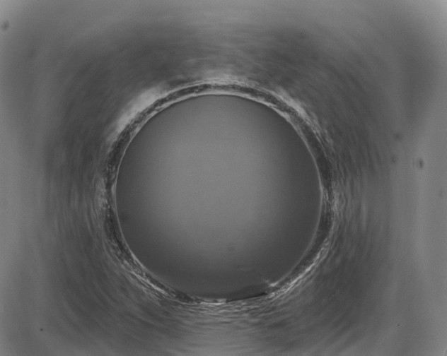 X0000086301263200703301152