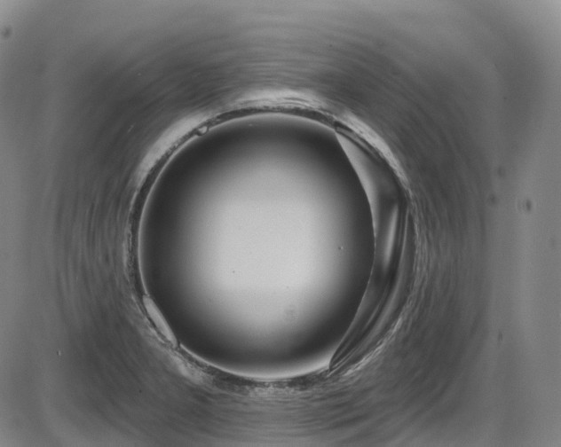 X0000086301277200703301152