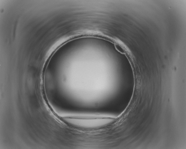 X0000086301287200703301152