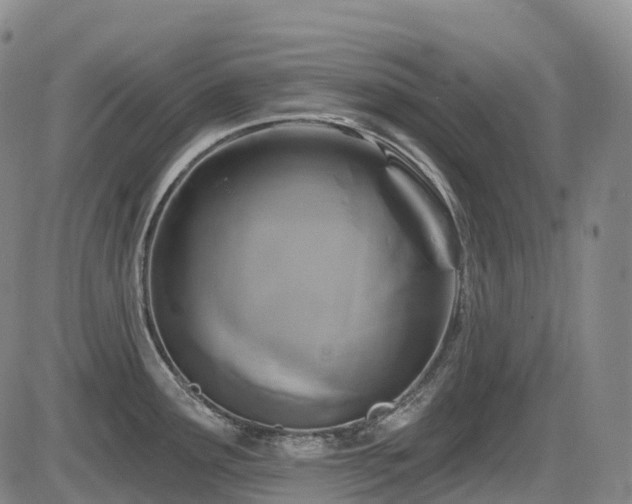 X0000086301291200703301152