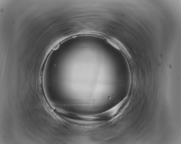 X0000086301292200703301152