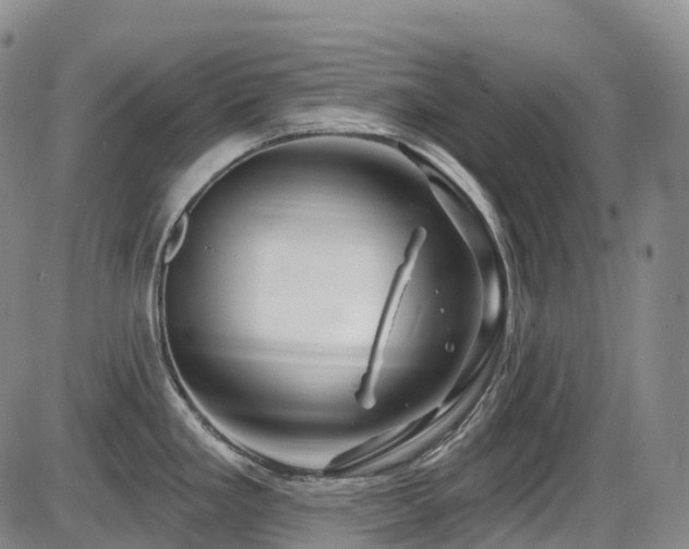 X0000086301293200703301152