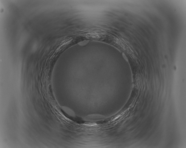 X0000086301297200703301151