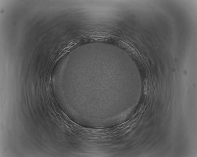 X0000086301298200703301151