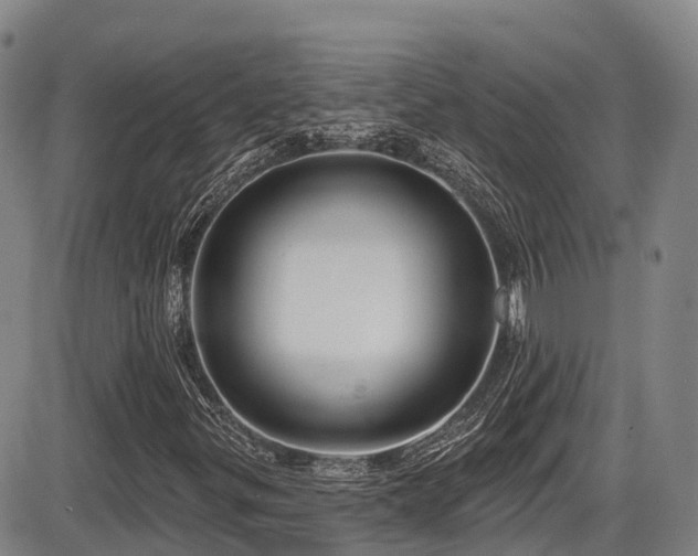X0000086301299200703301151