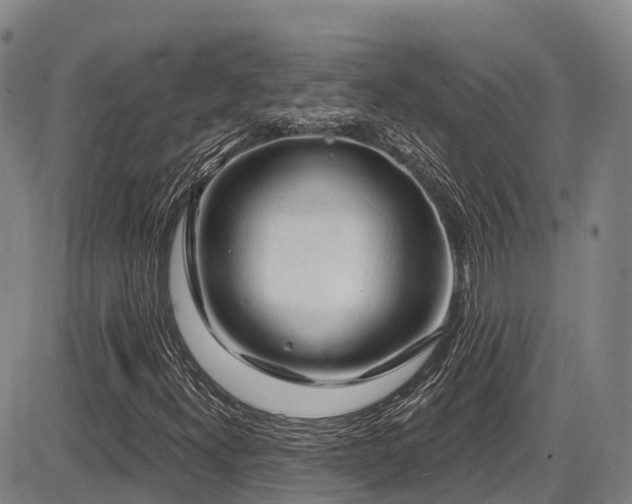 X0000086301300200703301151