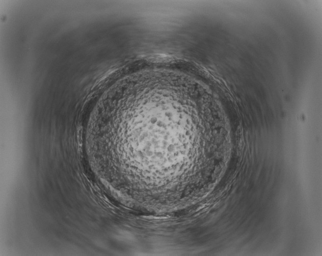 X0000086301301200703301151