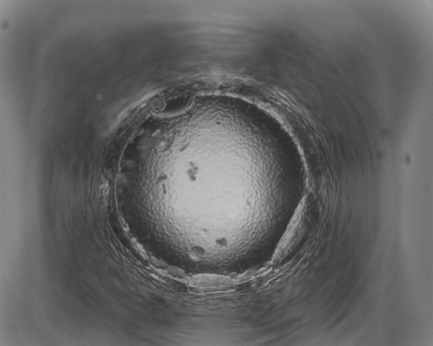 X0000086301302200703301151
