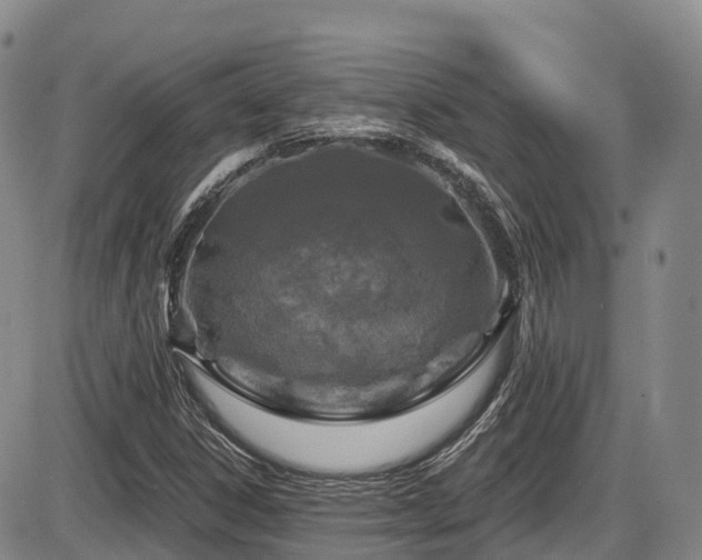 X0000086301306200703301151