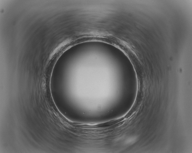 X0000086301307200703301151