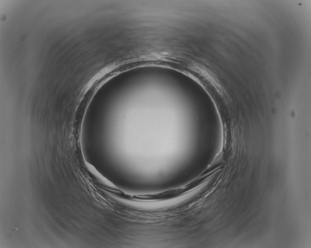 X0000086301308200703301151