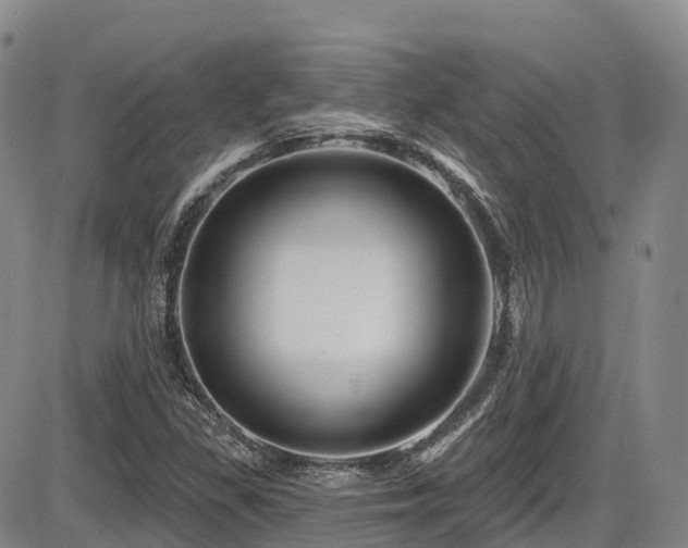 X0000086301309200703301151