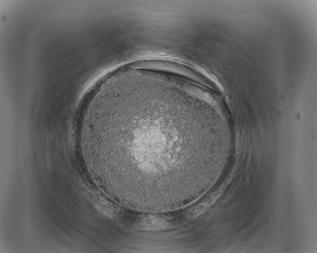 X0000086301311200703301151