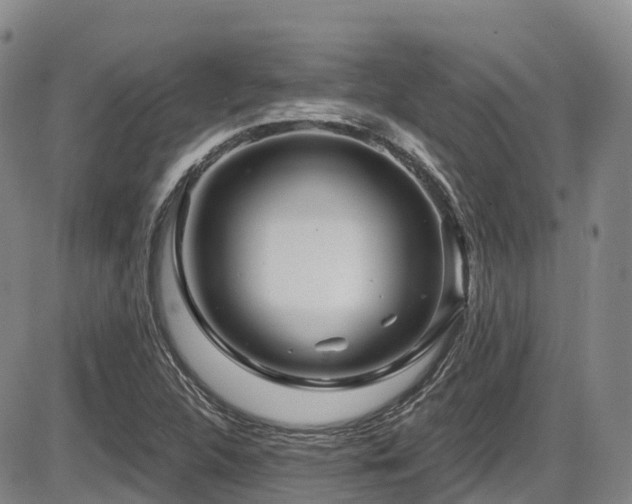 X0000086301312200703301151