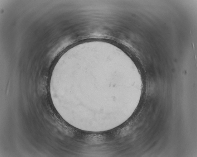 X0000086301314200703301151