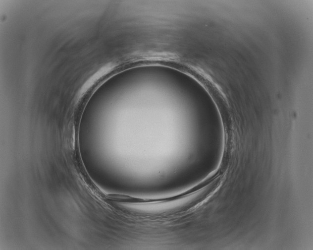 X0000086301317200703301151