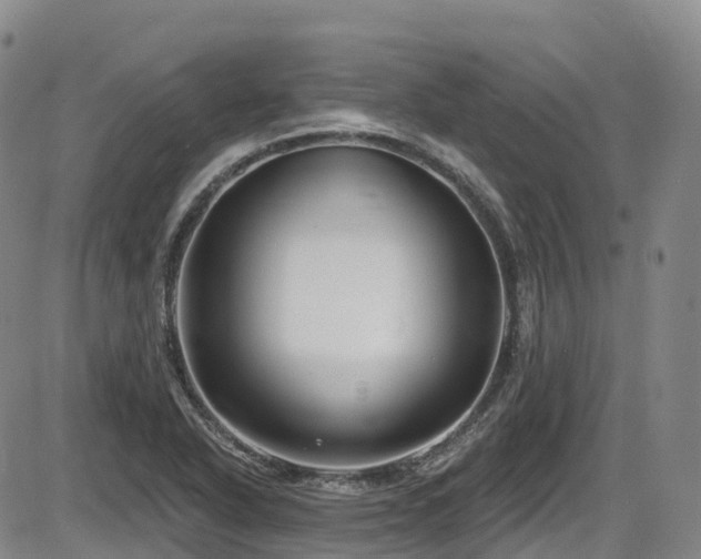 X0000086301318200703301151