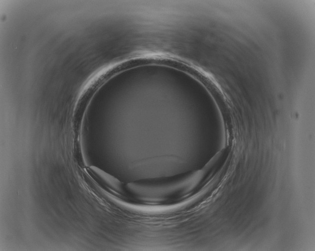 X0000086301319200703301151