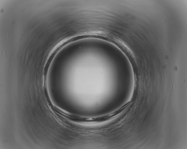 X0000086301324200703301152