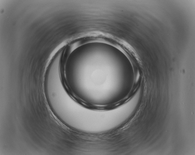 X0000086301326200703301152