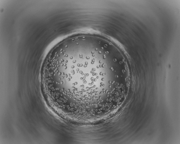 X0000086301335200703301152