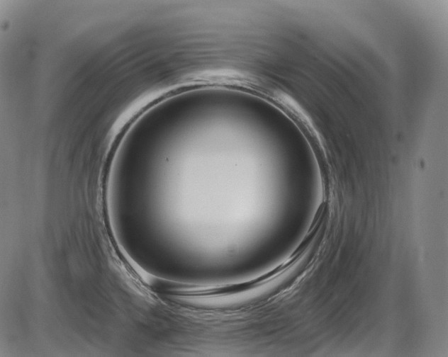 X0000086301336200703301152