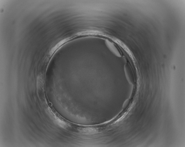 X0000086301337200703301152