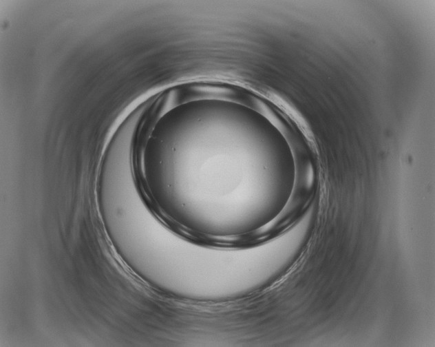 X0000086301340200703301152