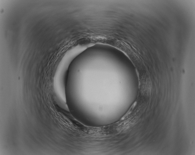 X0000086301345200703301151