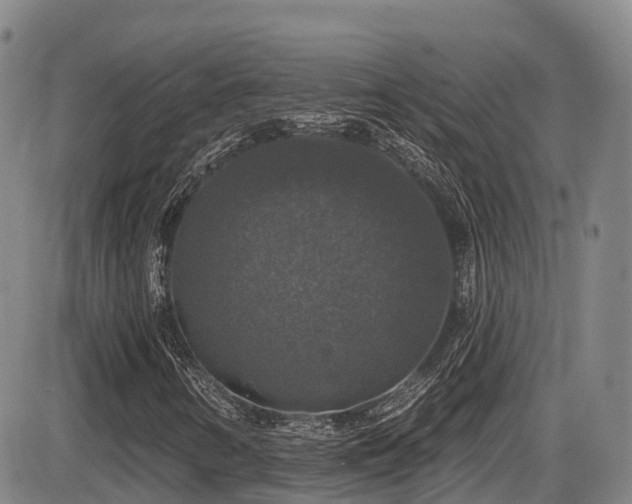 X0000086301346200703301151