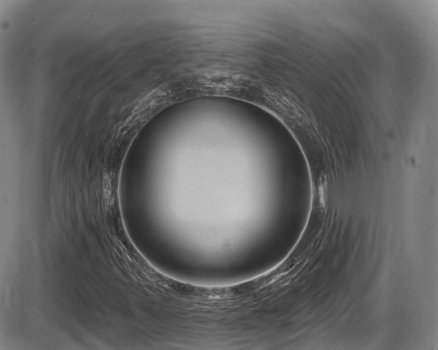 X0000086301347200703301151