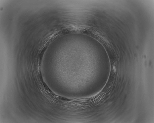 X0000086301348200703301151