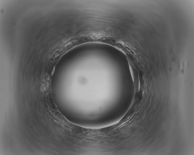X0000086301349200703301151