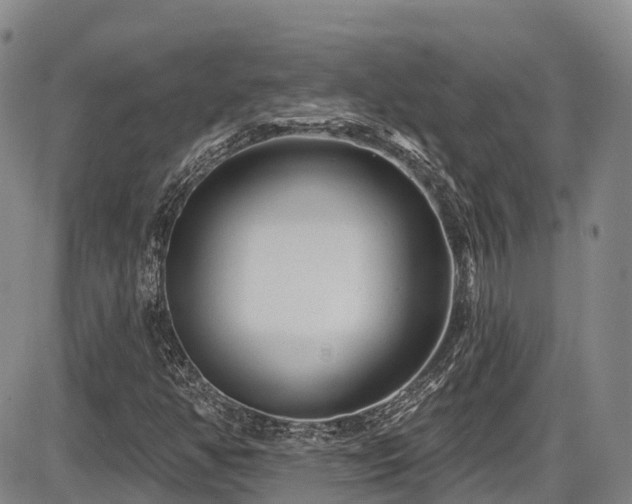 X0000086301350200703301151