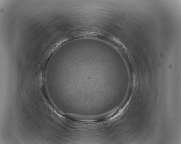 X0000086301353200703301151
