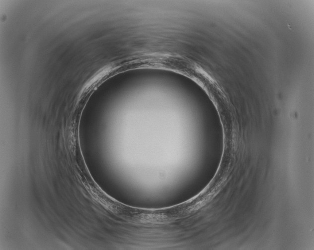 X0000086301354200703301151