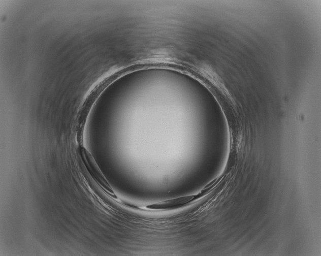 X0000086301356200703301151