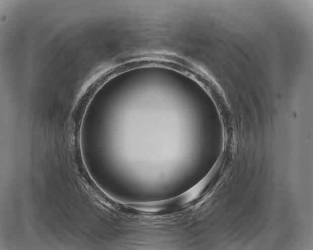 X0000086301360200703301151