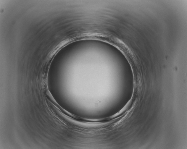 X0000086301361200703301151