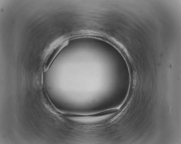 X0000086301365200703301151