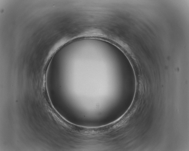 X0000086301366200703301151