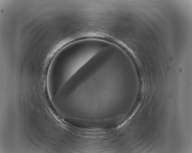 X0000086301367200703301151