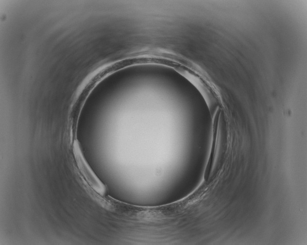 X0000086301368200703301151