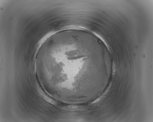 X0000086301371200703301151