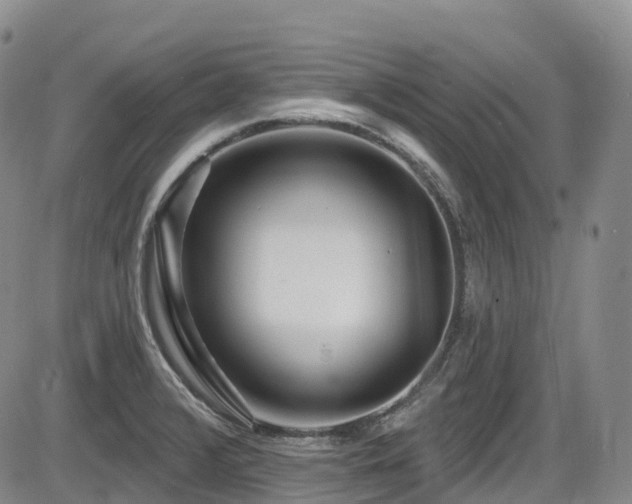 X0000086301376200703301151