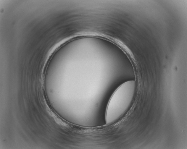 X0000086301380200703301150