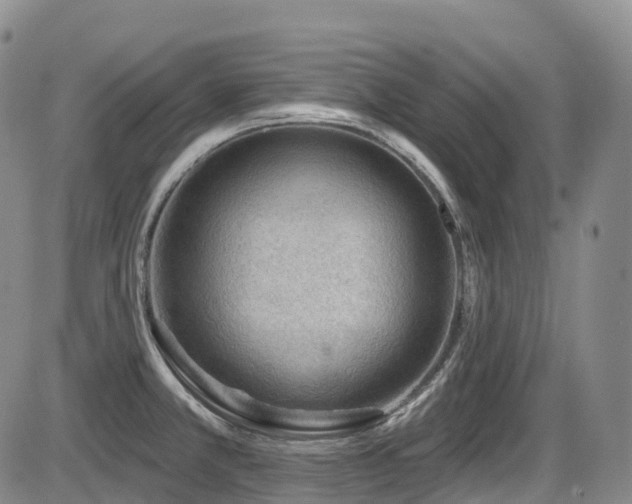 X0000086301381200703301150